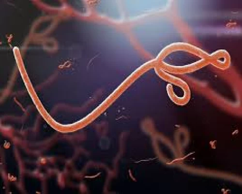WHO’s Ebola alert puts focus on preparedness, experts say India need not panic